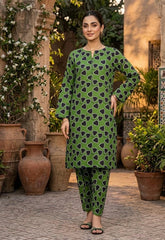 2 Pcs Ladies Suit Des 119