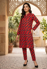 2 Pcs Ladies Suit Des 141