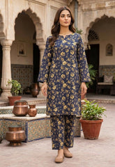2 Pcs Ladies Suit Des 167