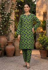 2 Pcs Ladies Suit  Des  151
