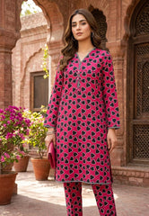 2 Pcs Ladies Suit  Des  162